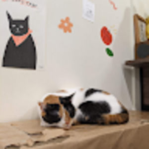 Meet your Posher, Jasmine